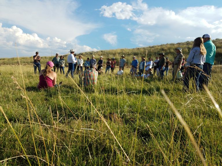 The seminar will feature both classroom and field work.